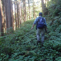 馬も通った旧道