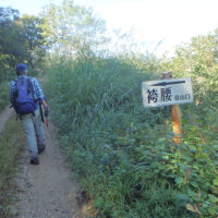 林道袴腰線を行く。新小瀬峠まで未舗装の道