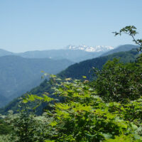 天気のいい日は遠くに白山を望む