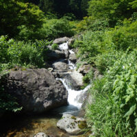 基幹林道の橋から谷鞍谷。ここまで車が入る。