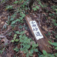 小瀬峠道の入口。林道工事で消えた旧道がここから残っている