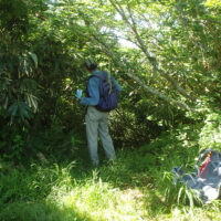 樹が繁り見晴らしはよくない
