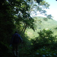 小瀬峠を下り最初は巡視路を行く。右手に袴腰山方面。