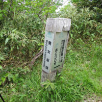下りは30分程度、登りは1時間かかる
