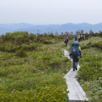 百四丈滝を過ぎ天池･油池まで木道が整備されている