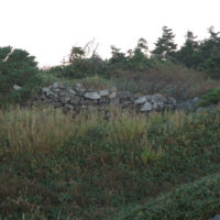 加賀室(天池室)跡：草に覆われた石垣の一部を見ることができる