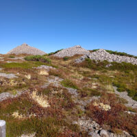 のちに助けられ麓に住み着いたとされている