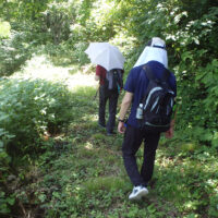 スキー場への舗装路から旧道に入る