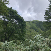 山道から見た沼見峠