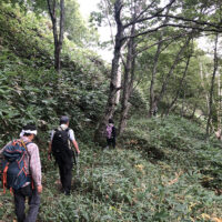 沼見峠直下の山道