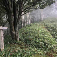 沼見峠分岐