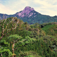 山麓からの七五岳