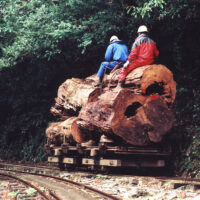 林業で栄えた森林鉄道・屋久杉の搬出