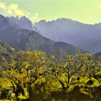 永田集落からの永田岳・障子岳