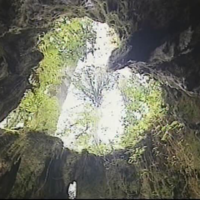 ウィルソン株内より上を見る