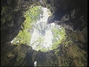 ウィルソン株内より上を見る