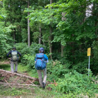 健康の森よこねから舗装道路を下ってきて、途中で左手への山道に入る