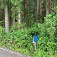 標柱はないが、貝淵峠への道型と思われる入り口。通行は困難
