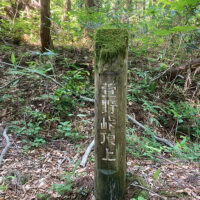 眺望は無い萱野峠