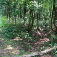 分岐で右へ下る