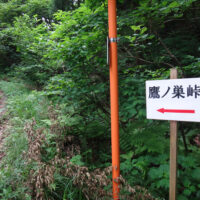 林道に合流する