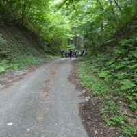 峠は舗装の林道
