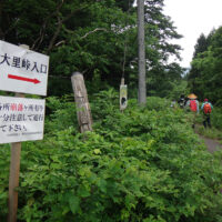 舗装道から分岐し林道に入る