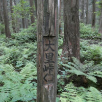大里峠の古い標柱