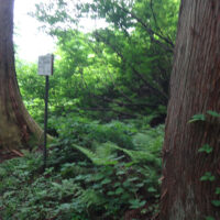 柄目木茶屋跡の看板