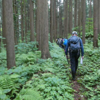 古道を歩く