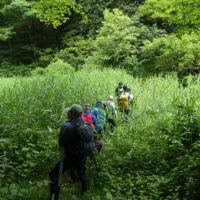 中ノ沢の休耕田跡を通る