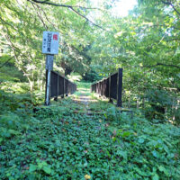 沢にかかる橋