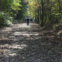 再現された石畳