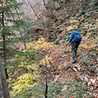 四万川源流の中腹斜面に残る道形をたどる