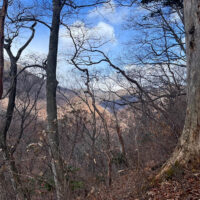 奥四万湖から赤沢山へ登る尾根の樹間から望む三坂峠方面