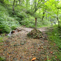 三国権現御神水