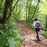 つづら折りの登り