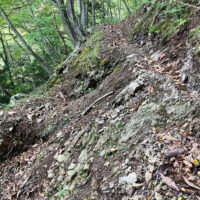 最後のカーブの付け根を乗り越えると古道の面影残した世界