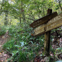 玉原湿原遊歩道分岐