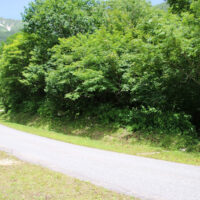 作業道を横切る