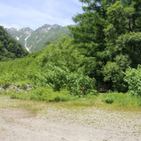 岩小屋沢岳