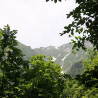 自然園の中にて