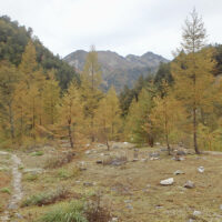 振り返れば立山が見えている、この辺りまでは道がはっきりしていて歩きやすい。