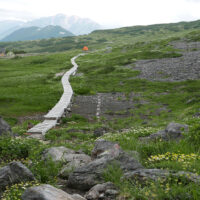 五色ヶ原の木道