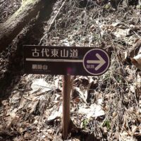 網掛山に向かっていくと網掛峠