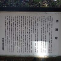 蛇瘤杉の説明
