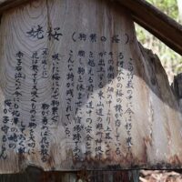 姥桜の説明文。ここには宿場があったようだ。
