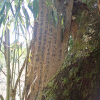 北澤大明神の説明【家内安全・商売繁盛】