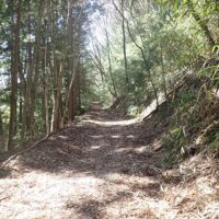 歩きやすい道