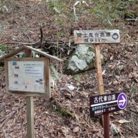 多くの道標